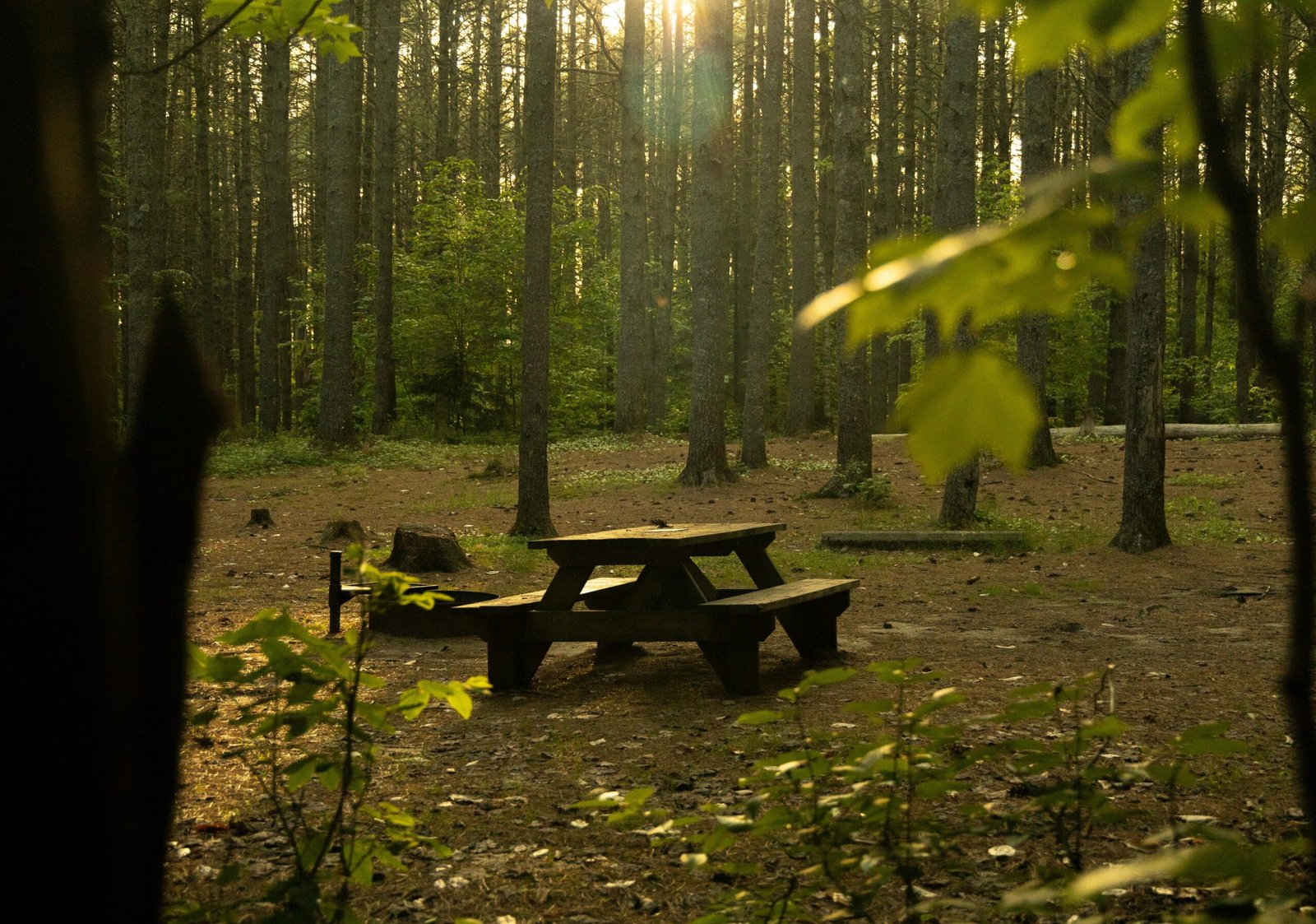 Read more about the article 🧠 توازن العقل والروح: كيف تحافظ على صحتك النفسية في عالم مليء بالضغوط