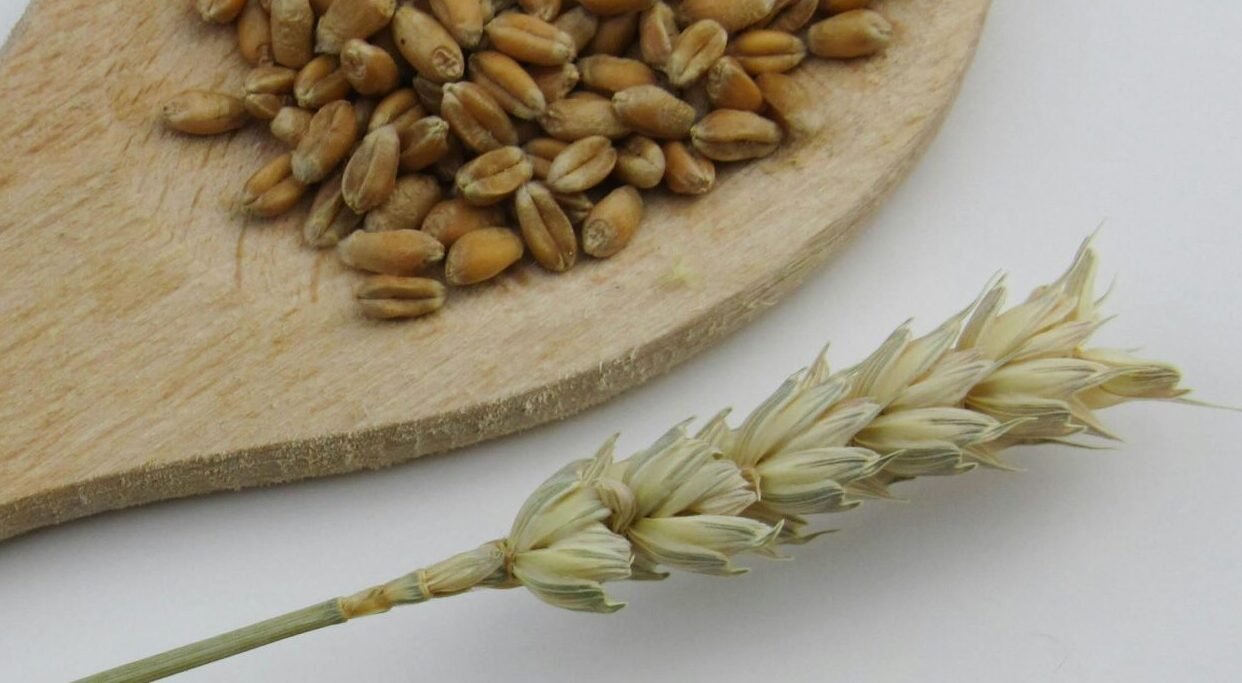 You are currently viewing الأغذية الغنية بالألياف ودورها في تحسين الهضم وخسارة الوزن