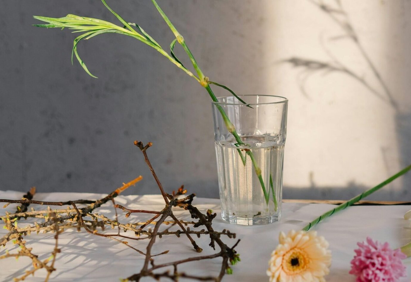 Read more about the article الصحة النفسية و قوة الاسترخاء الذهني