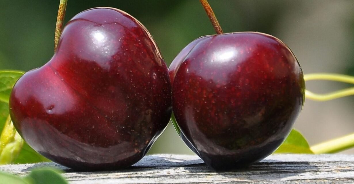 You are currently viewing كيف تحافظ على صحة جسدك وعقلك بأسهل الخطوات اليومية