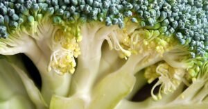 Read more about the article أفضل 10 أطعمة يومية لتعزيز المناعة والوقاية من الأمراض