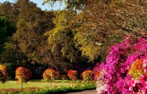 Read more about the article فن الهدوء الداخلي: كيف تحافظ على توازنك النفسي وسط ضغوط الحياة 🌿🧘‍♂️