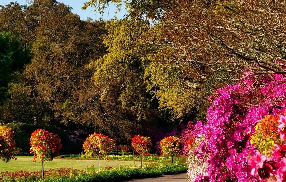 You are currently viewing فن الهدوء الداخلي: كيف تحافظ على توازنك النفسي وسط ضغوط الحياة 🌿🧘‍♂️