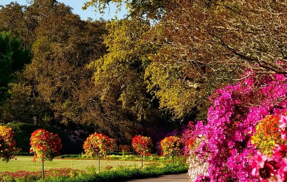 Read more about the article فن الهدوء الداخلي: كيف تحافظ على توازنك النفسي وسط ضغوط الحياة 🌿🧘‍♂️