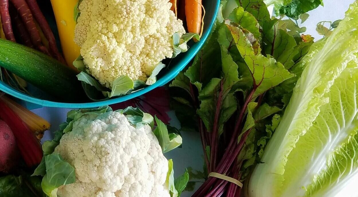 You are currently viewing الأطعمة التي تعزز الذاكرة وتزيد من قوة الذكاء والتركيز