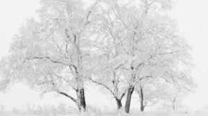 Read more about the article ✅كيف تحافظ على مناعتك وطاقتك ودفء جسمك طوال الموسم؟