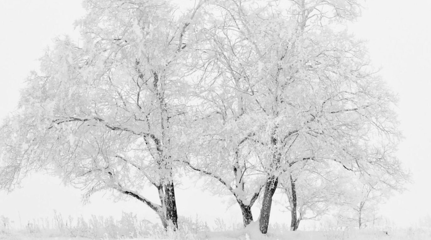 You are currently viewing ✅كيف تحافظ على مناعتك وطاقتك ودفء جسمك طوال الموسم؟