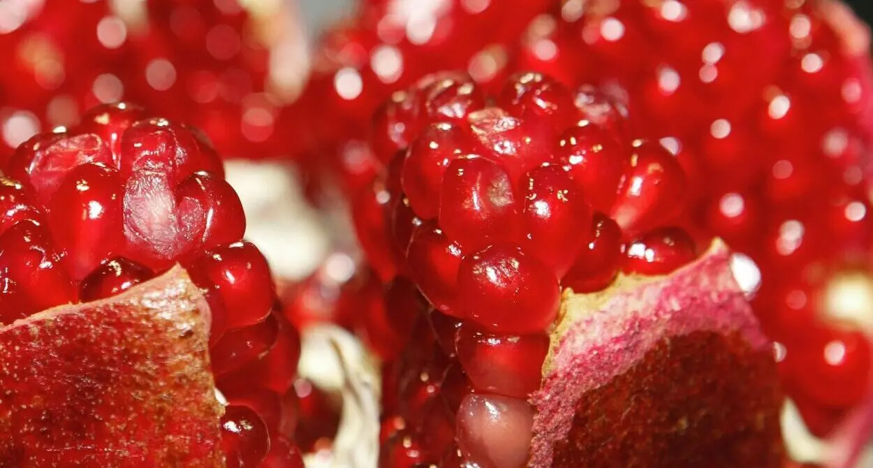 Read more about the article 🍎 الفواكه وصحة الجسم في فصل الشتاء