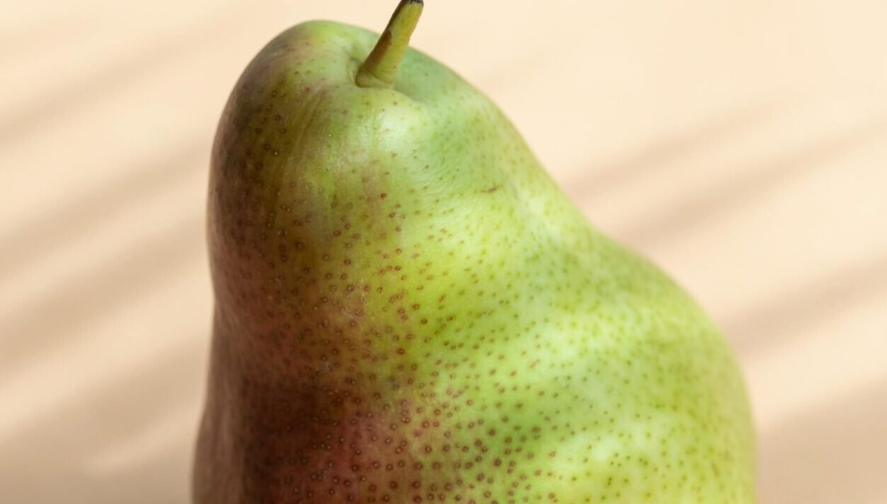 You are currently viewing الصحة في الشتاء🌨️