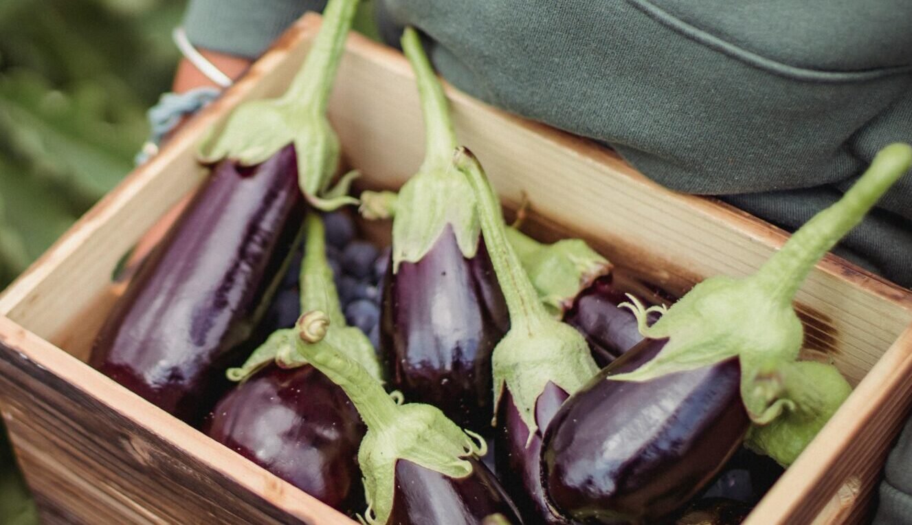 Read more about the article عادات يومية لتحسين الصحة الجسدية والنفسية: خطوات صغيرة تغيّر حياتك