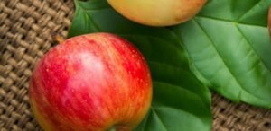 Read more about the article الألياف الغذائية: السرّ الخفي لصحة قوية ووزن مثالي  Dietary Fiber