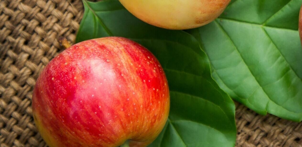 You are currently viewing الألياف الغذائية: السرّ الخفي لصحة قوية ووزن مثالي  Dietary Fiber