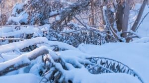 Read more about the article الاستعداد لدخول موسم الشتاء دليل شامل لصحة أقوى وحياة أدفأ