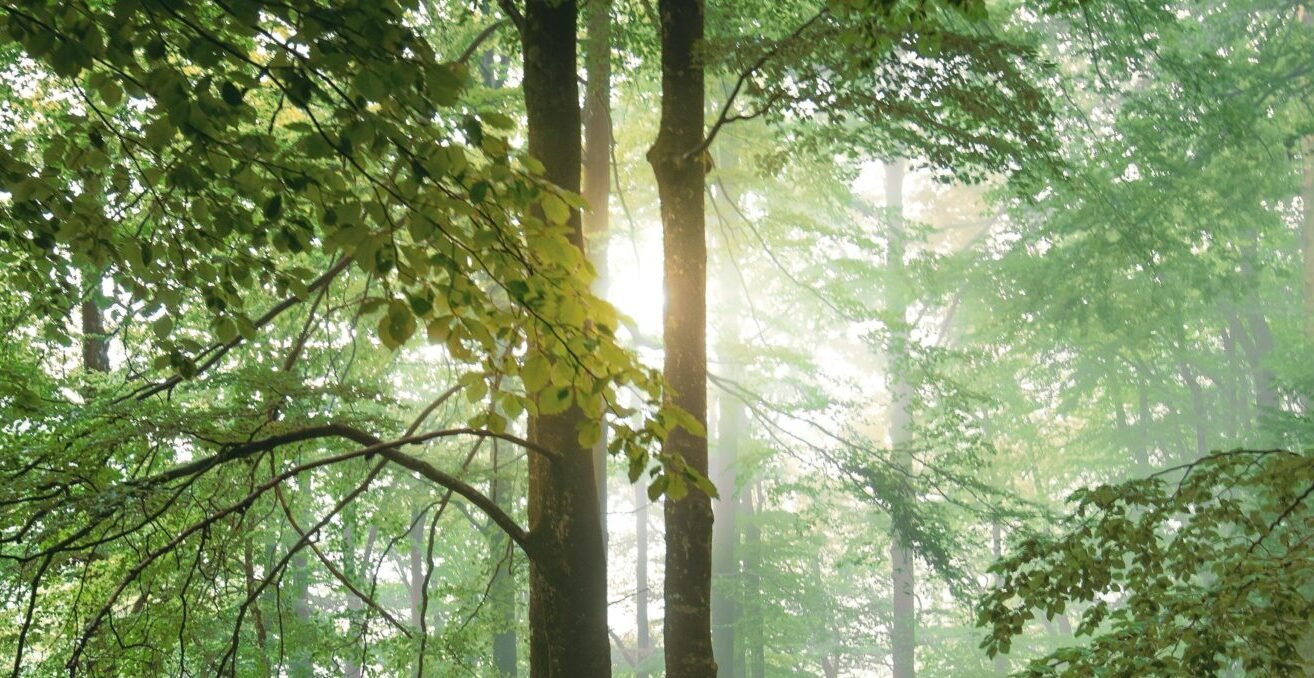 Read more about the article نصائح يومية لحياة صحية ومتوازنة: دليل السعادة والطاقة كل يوم