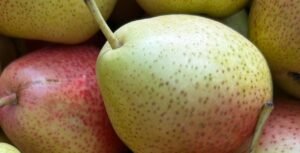 Read more about the article الألياف الغذائية: أهميتها لصحة الجسم وكيفية دمجها في نظامك اليومي