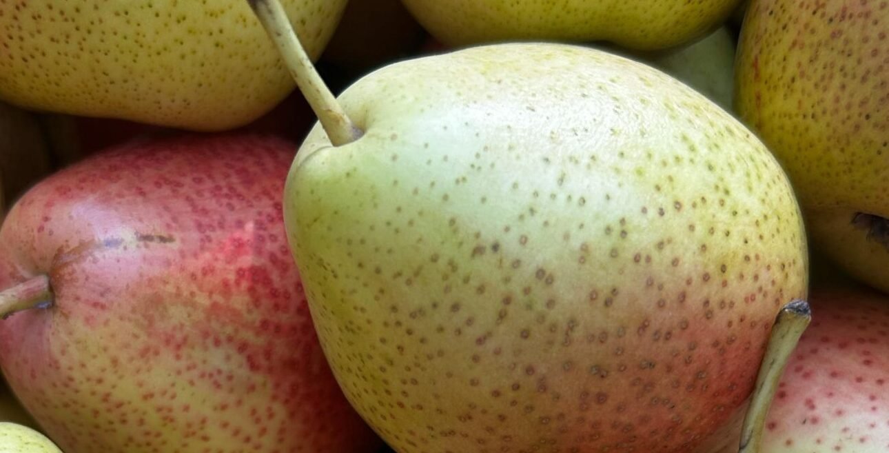 Read more about the article الألياف الغذائية: أهميتها لصحة الجسم وكيفية دمجها في نظامك اليومي