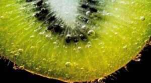 Read more about the article استراتيجيات طبيعية لحماية صحتك ومواجهة الأمراض الموسمية